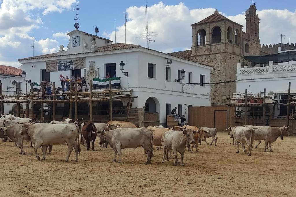 El Zarzal De Segura